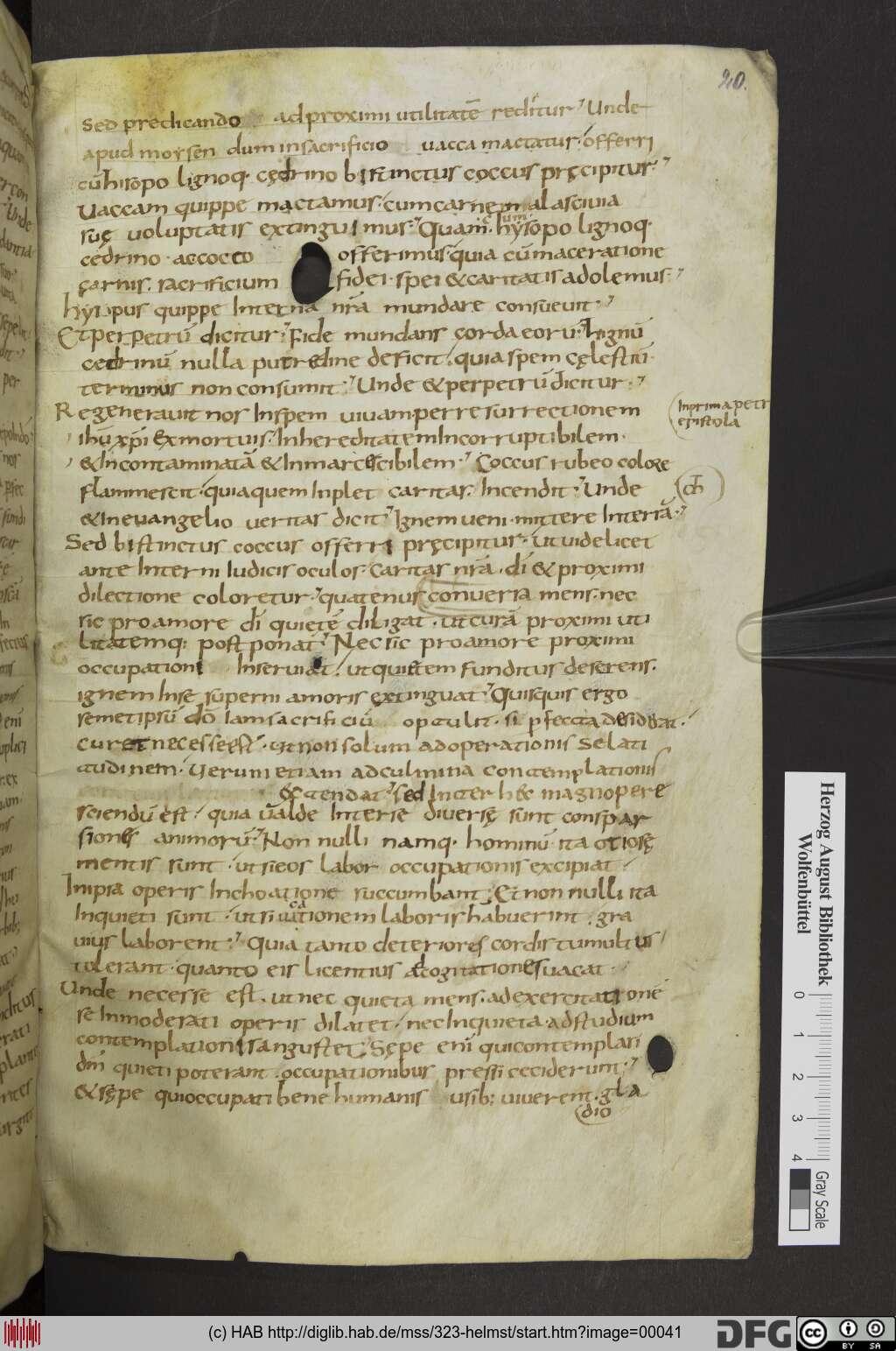 http://diglib.hab.de/mss/323-helmst/00041.jpg