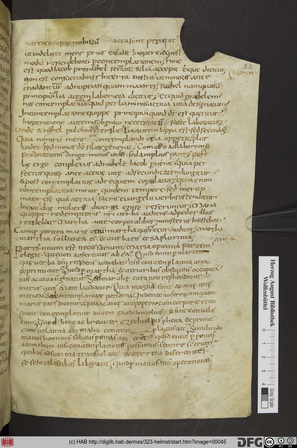 http://diglib.hab.de/mss/323-helmst/00045.jpg