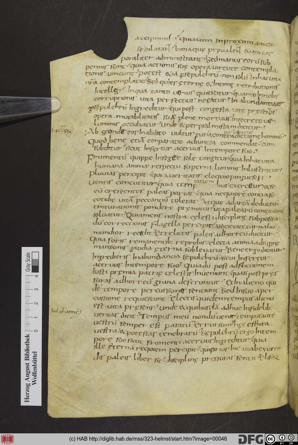 http://diglib.hab.de/mss/323-helmst/00046.jpg