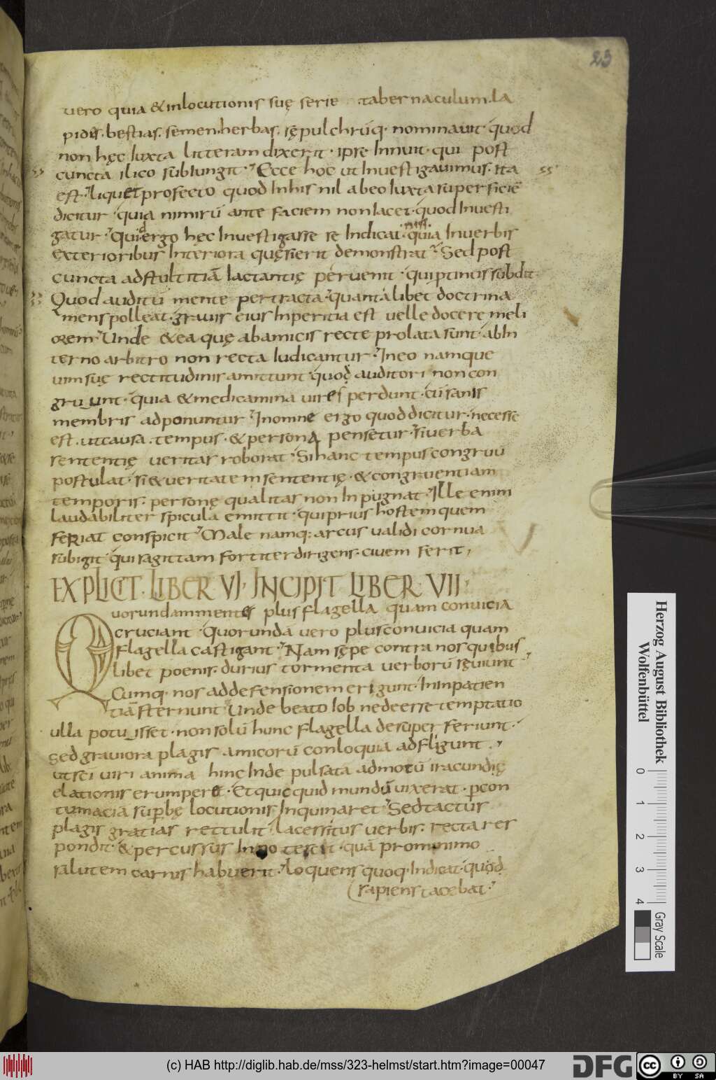 http://diglib.hab.de/mss/323-helmst/00047.jpg