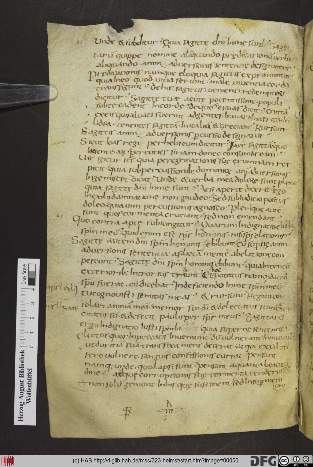 http://diglib.hab.de/mss/323-helmst/00050.jpg