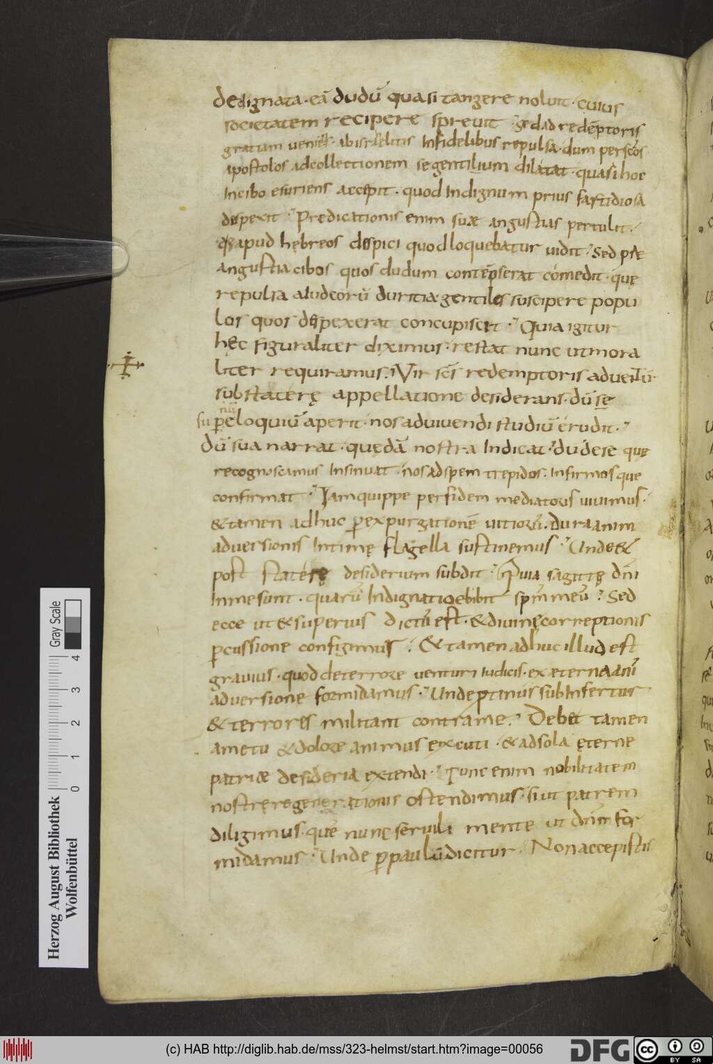 http://diglib.hab.de/mss/323-helmst/00056.jpg