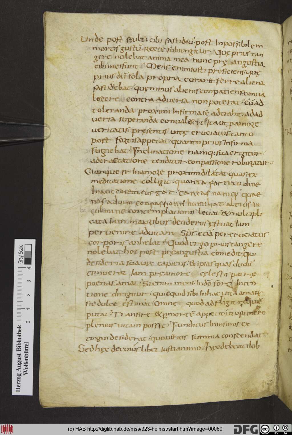 http://diglib.hab.de/mss/323-helmst/00060.jpg