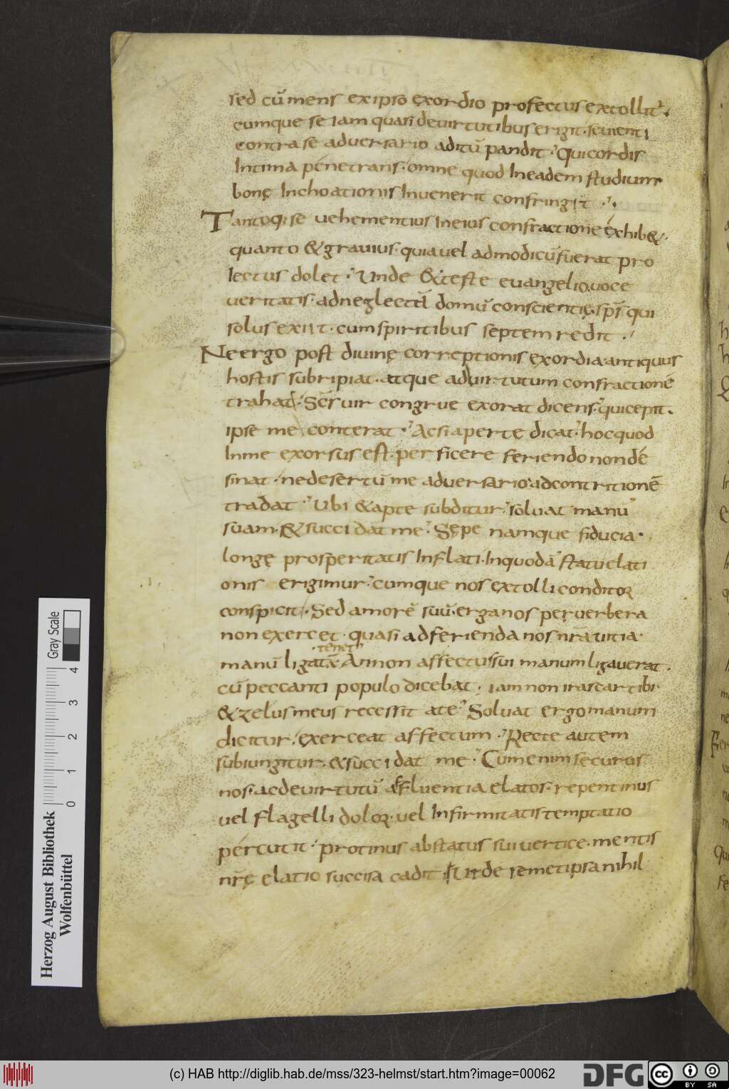 http://diglib.hab.de/mss/323-helmst/00062.jpg