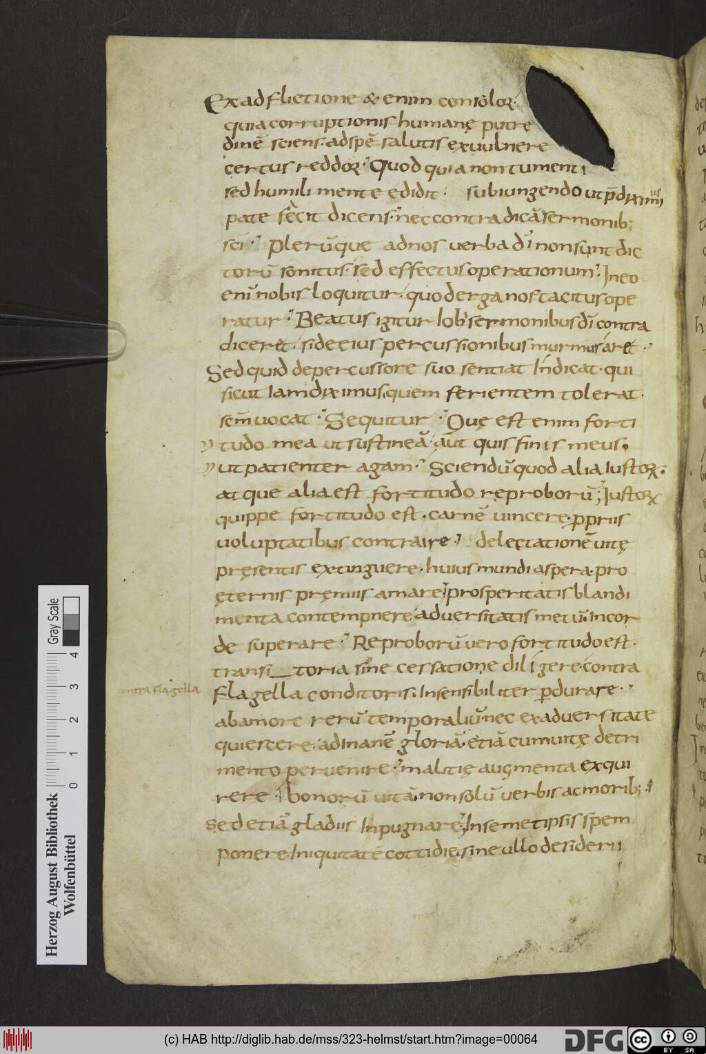 http://diglib.hab.de/mss/323-helmst/00064.jpg