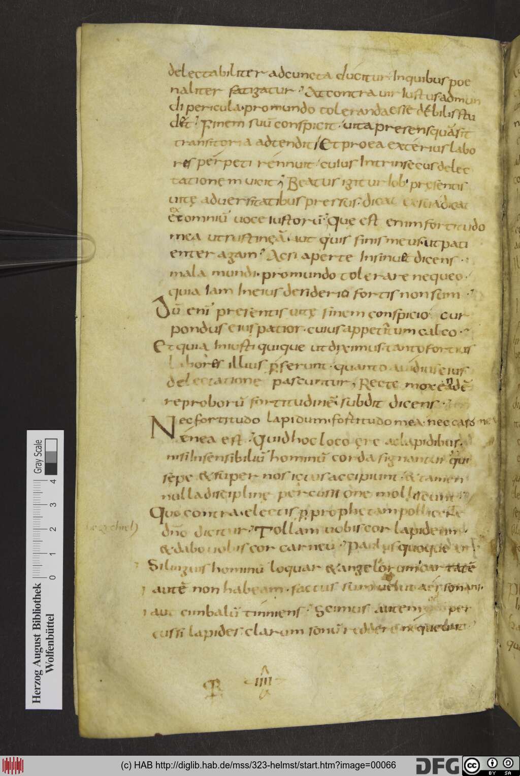 http://diglib.hab.de/mss/323-helmst/00066.jpg