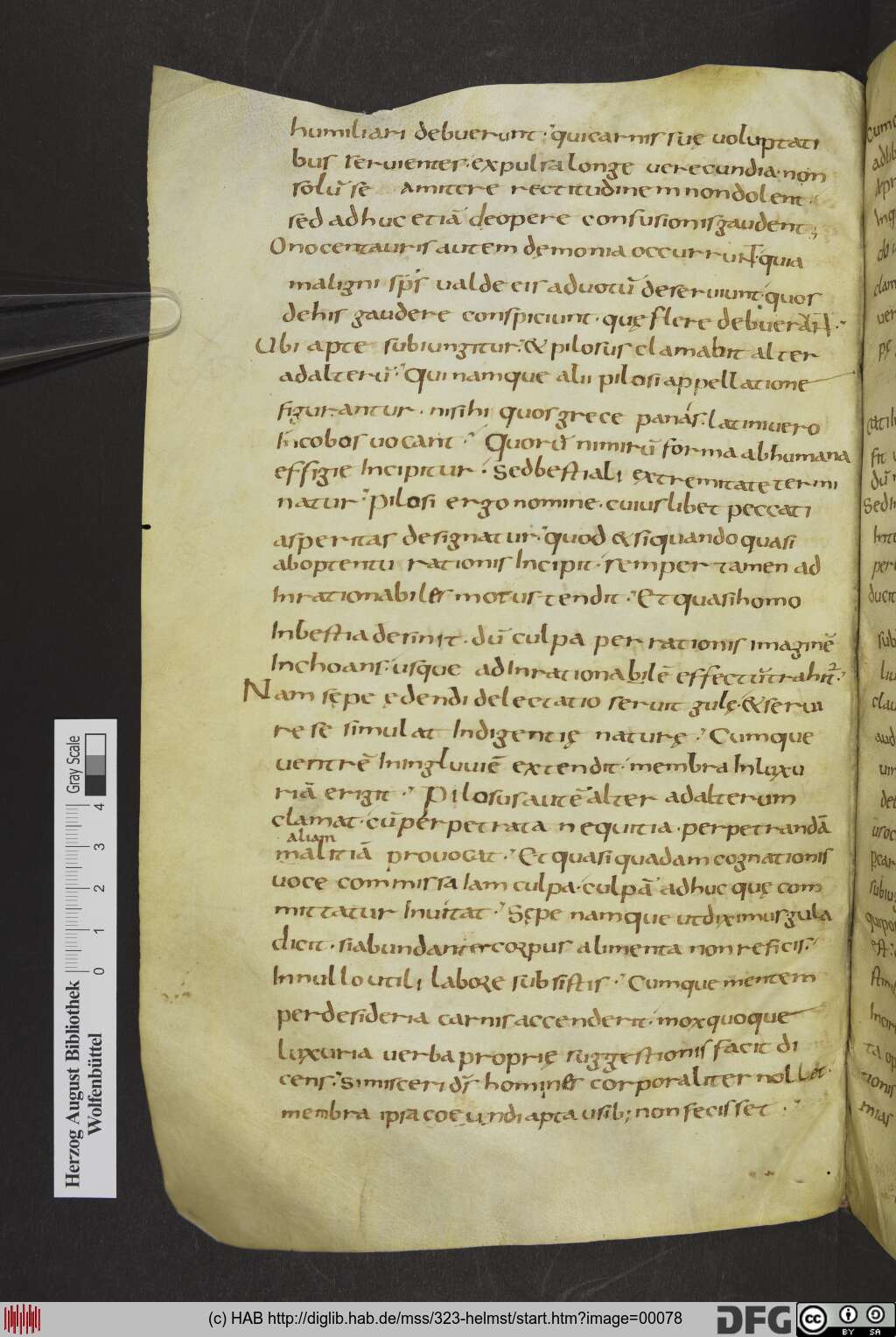 http://diglib.hab.de/mss/323-helmst/00078.jpg