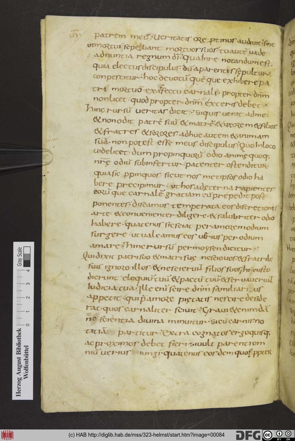 http://diglib.hab.de/mss/323-helmst/00084.jpg