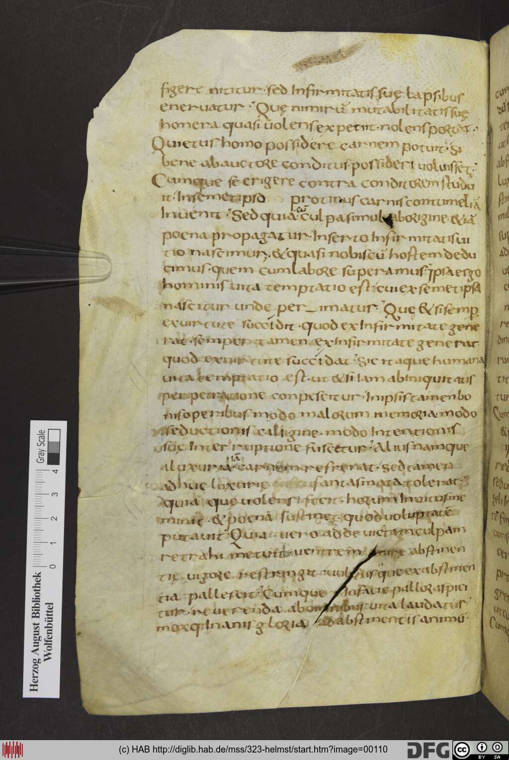 http://diglib.hab.de/mss/323-helmst/00110.jpg