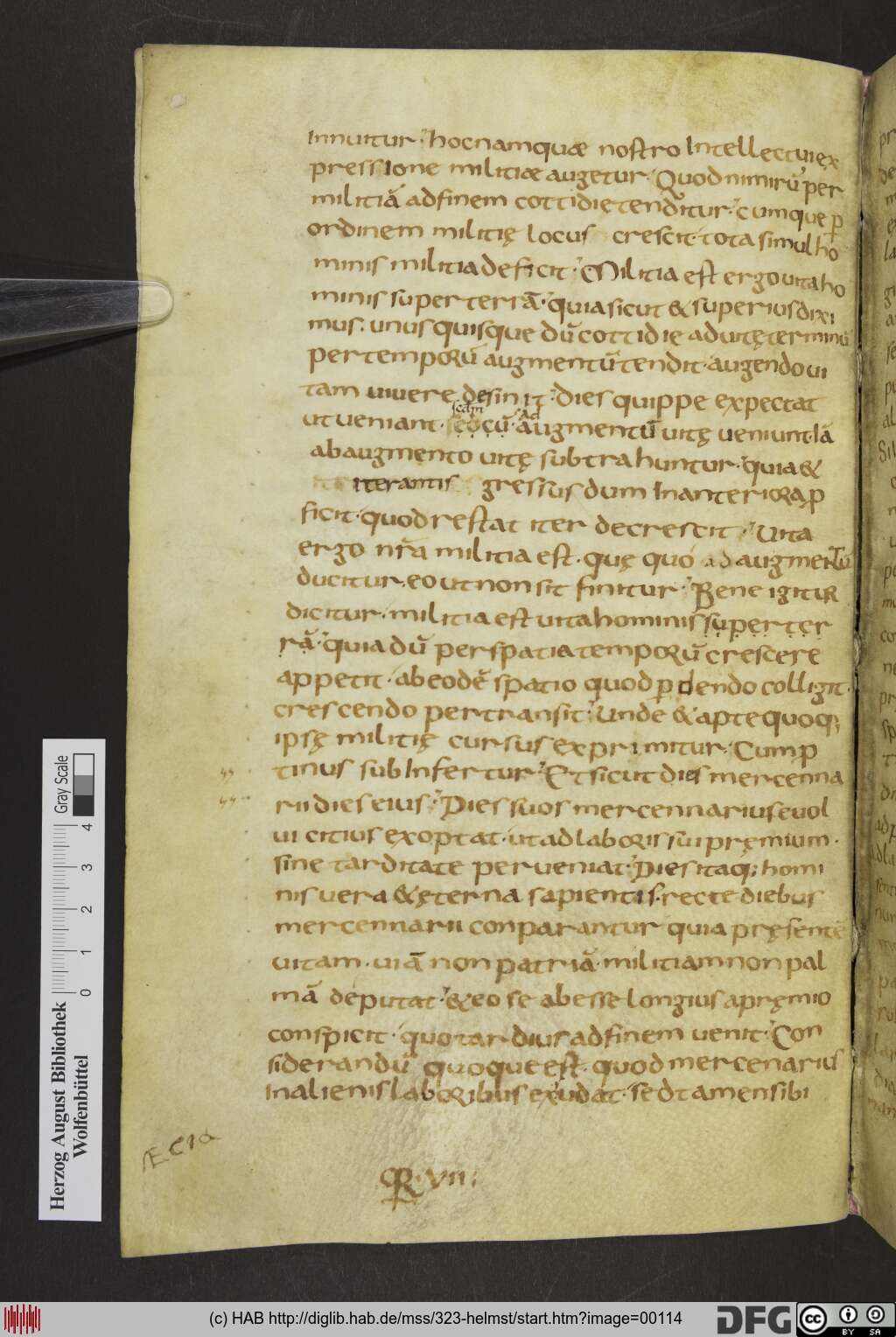 http://diglib.hab.de/mss/323-helmst/00114.jpg