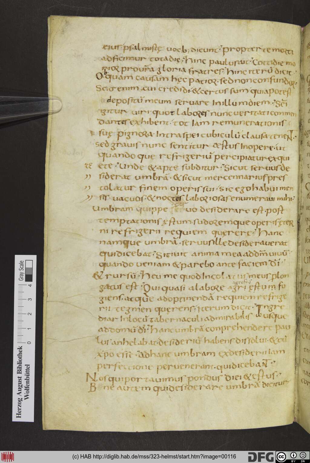 http://diglib.hab.de/mss/323-helmst/00116.jpg