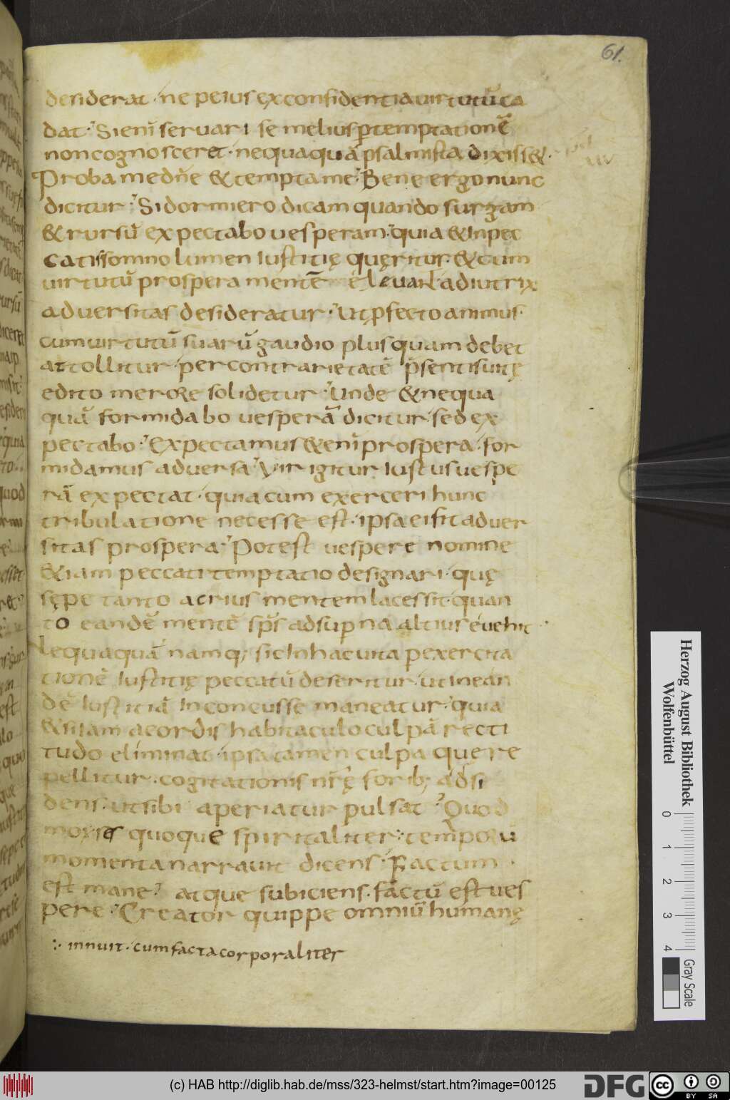 http://diglib.hab.de/mss/323-helmst/00125.jpg