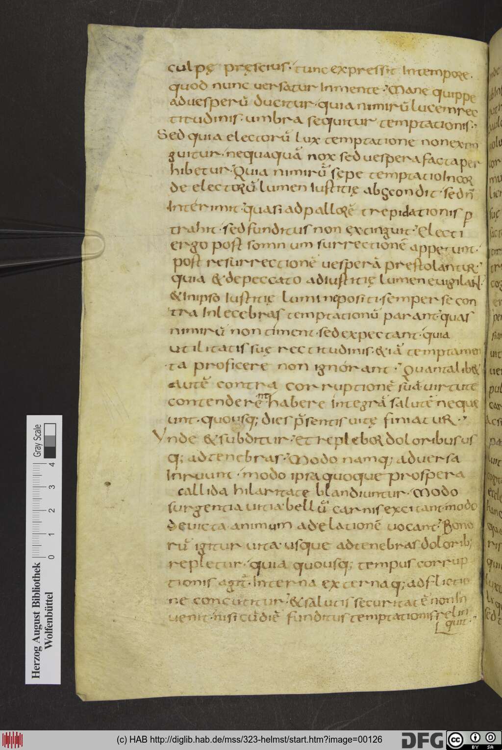 http://diglib.hab.de/mss/323-helmst/00126.jpg