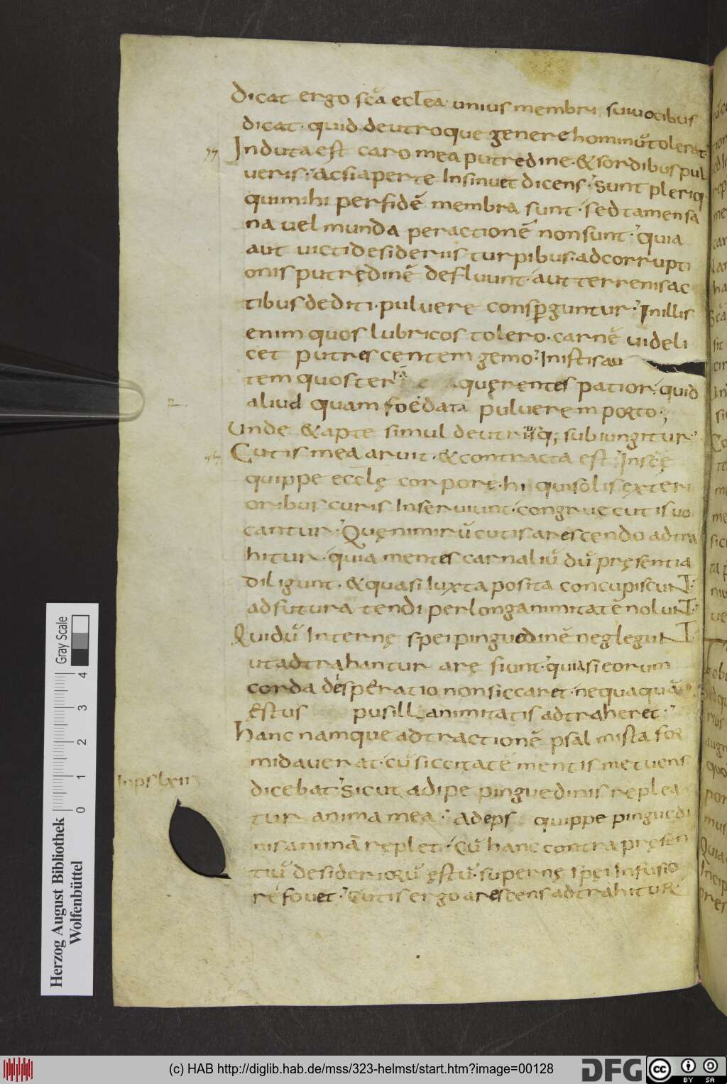 http://diglib.hab.de/mss/323-helmst/00128.jpg