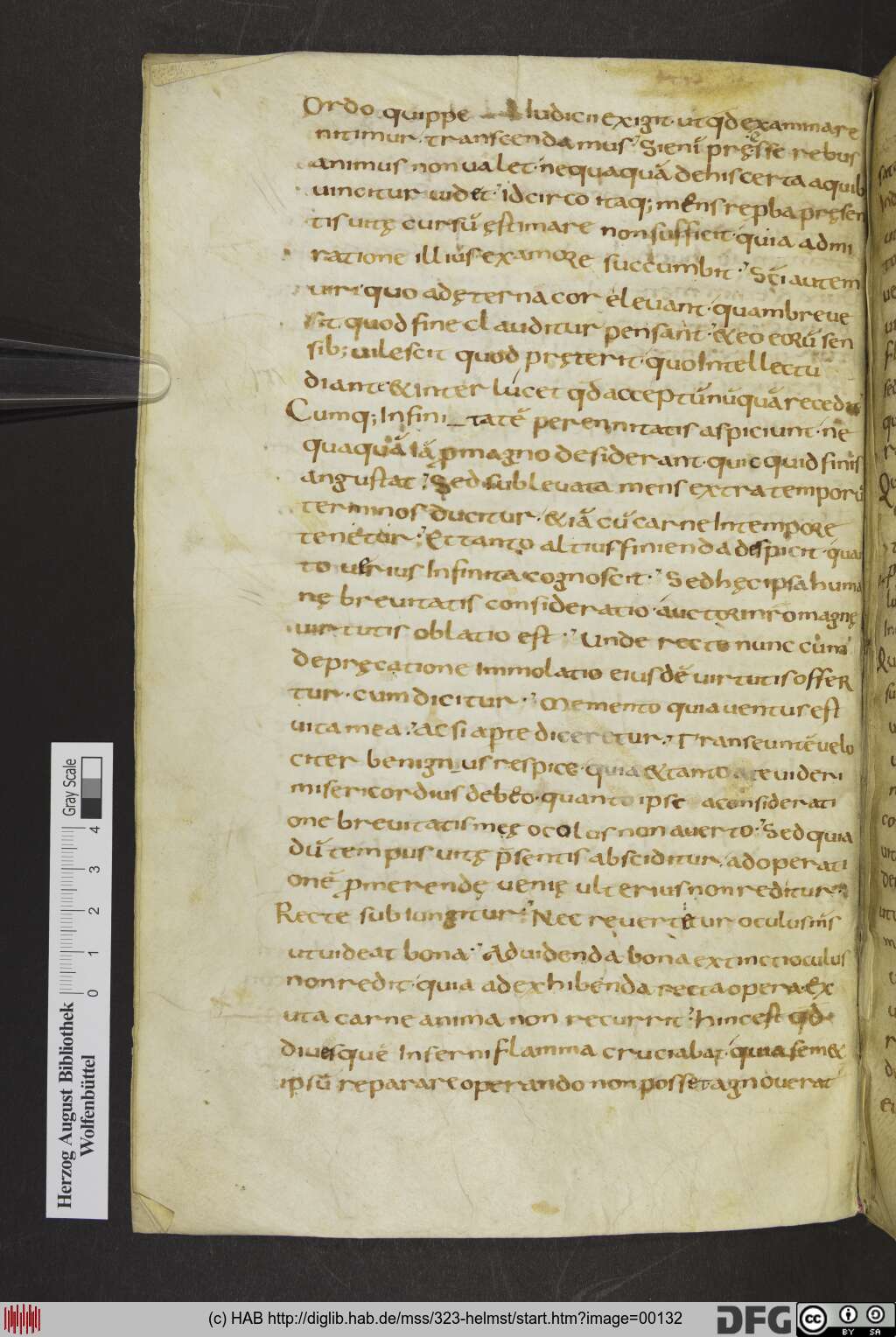 http://diglib.hab.de/mss/323-helmst/00132.jpg