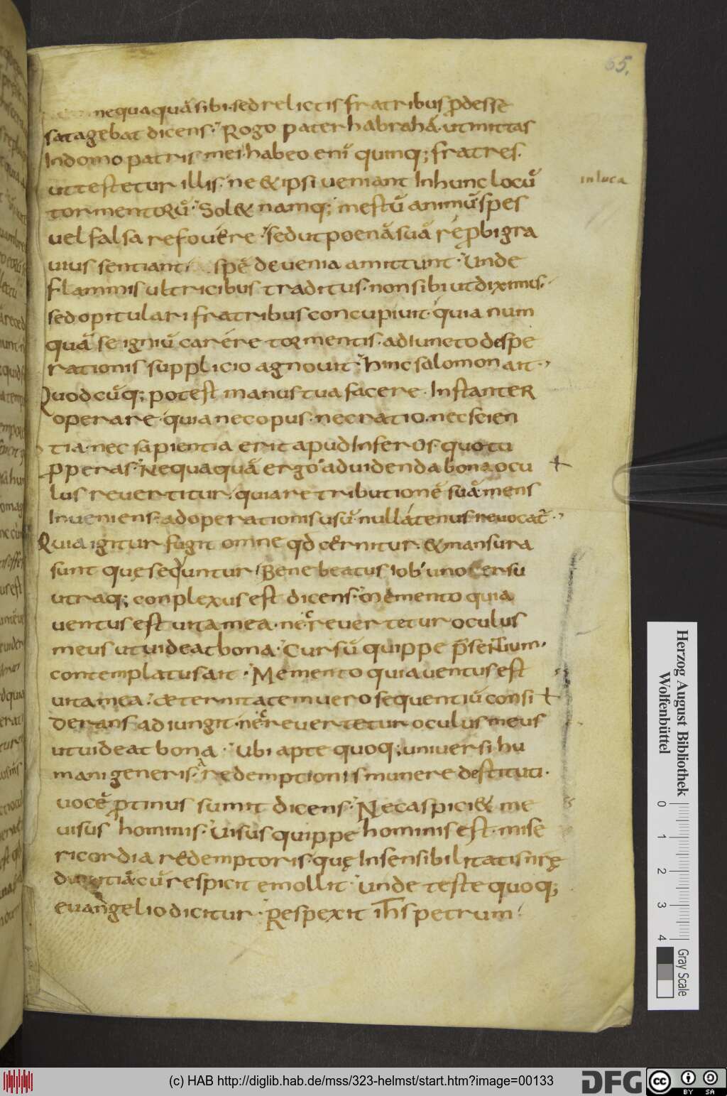 http://diglib.hab.de/mss/323-helmst/00133.jpg