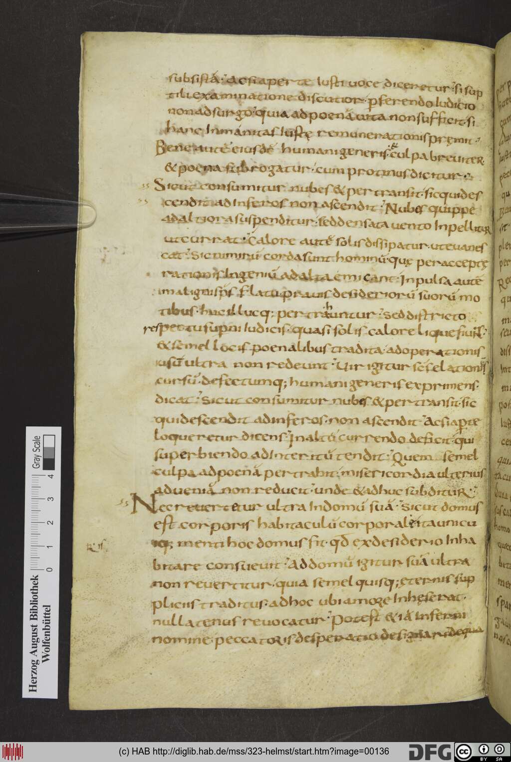 http://diglib.hab.de/mss/323-helmst/00136.jpg