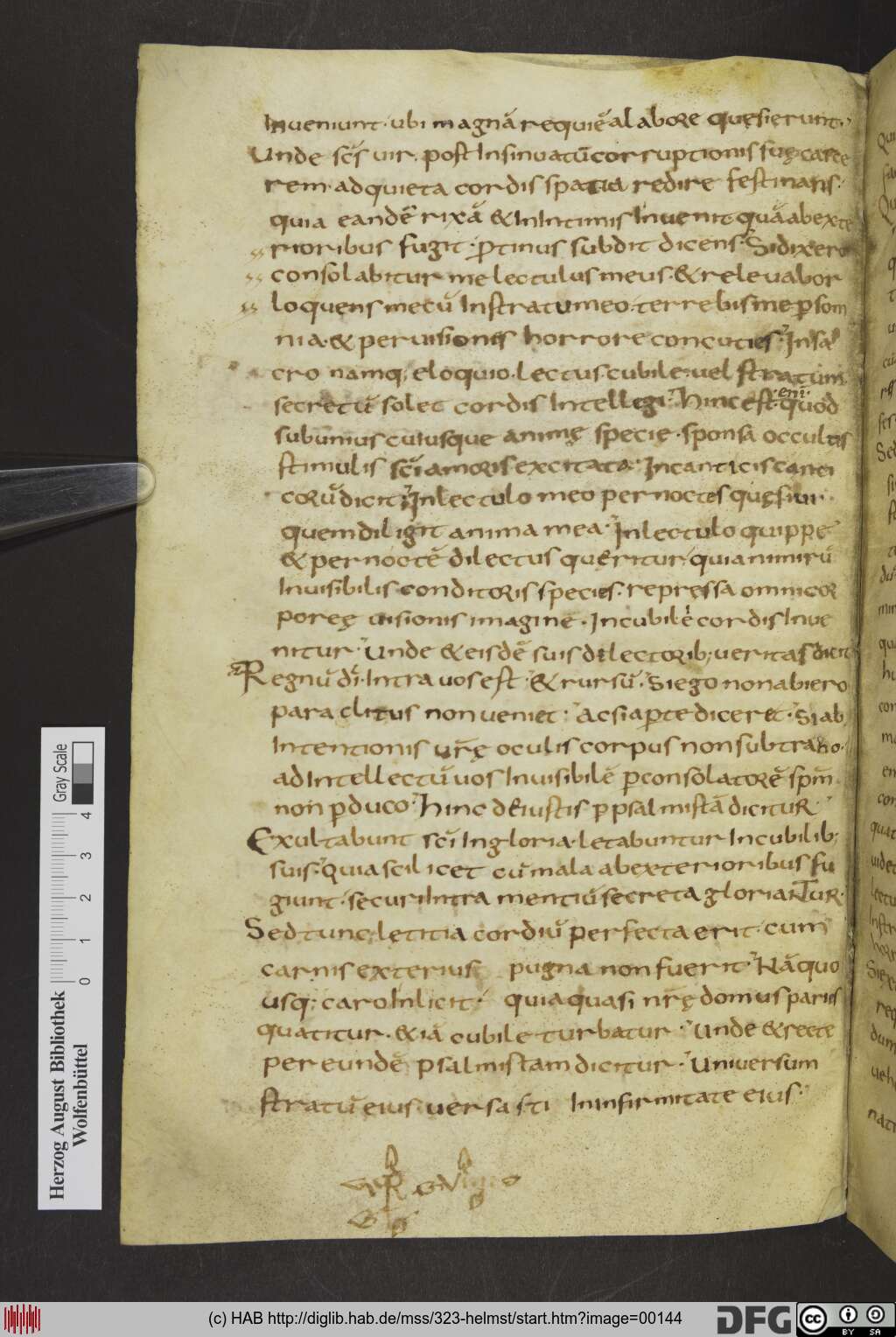 http://diglib.hab.de/mss/323-helmst/00144.jpg