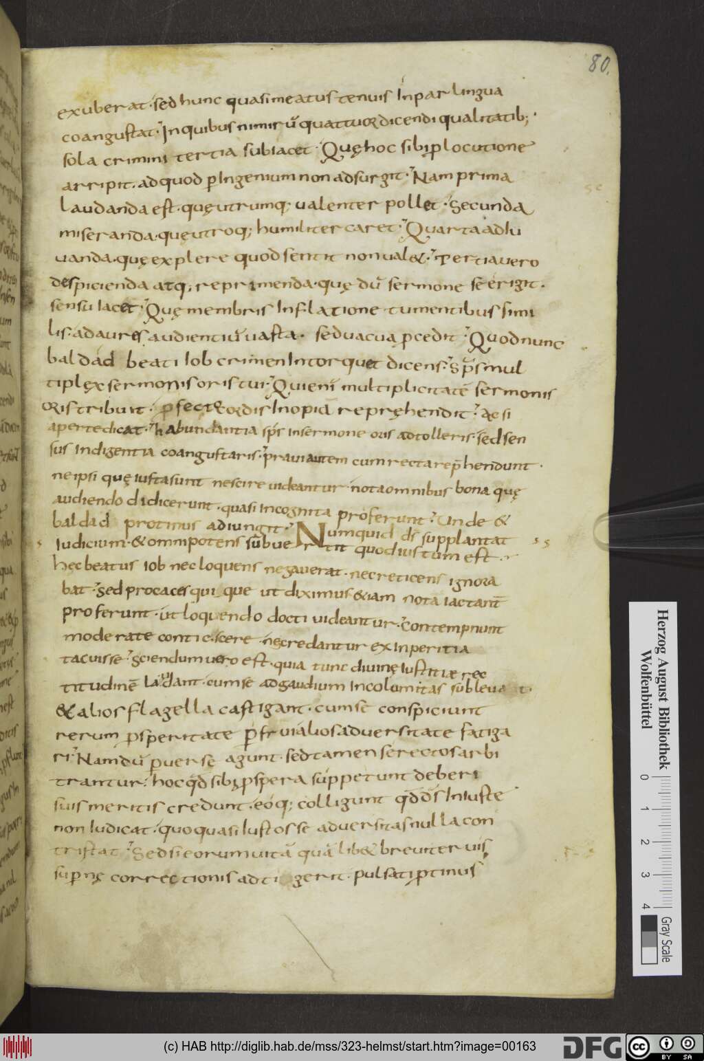 http://diglib.hab.de/mss/323-helmst/00163.jpg