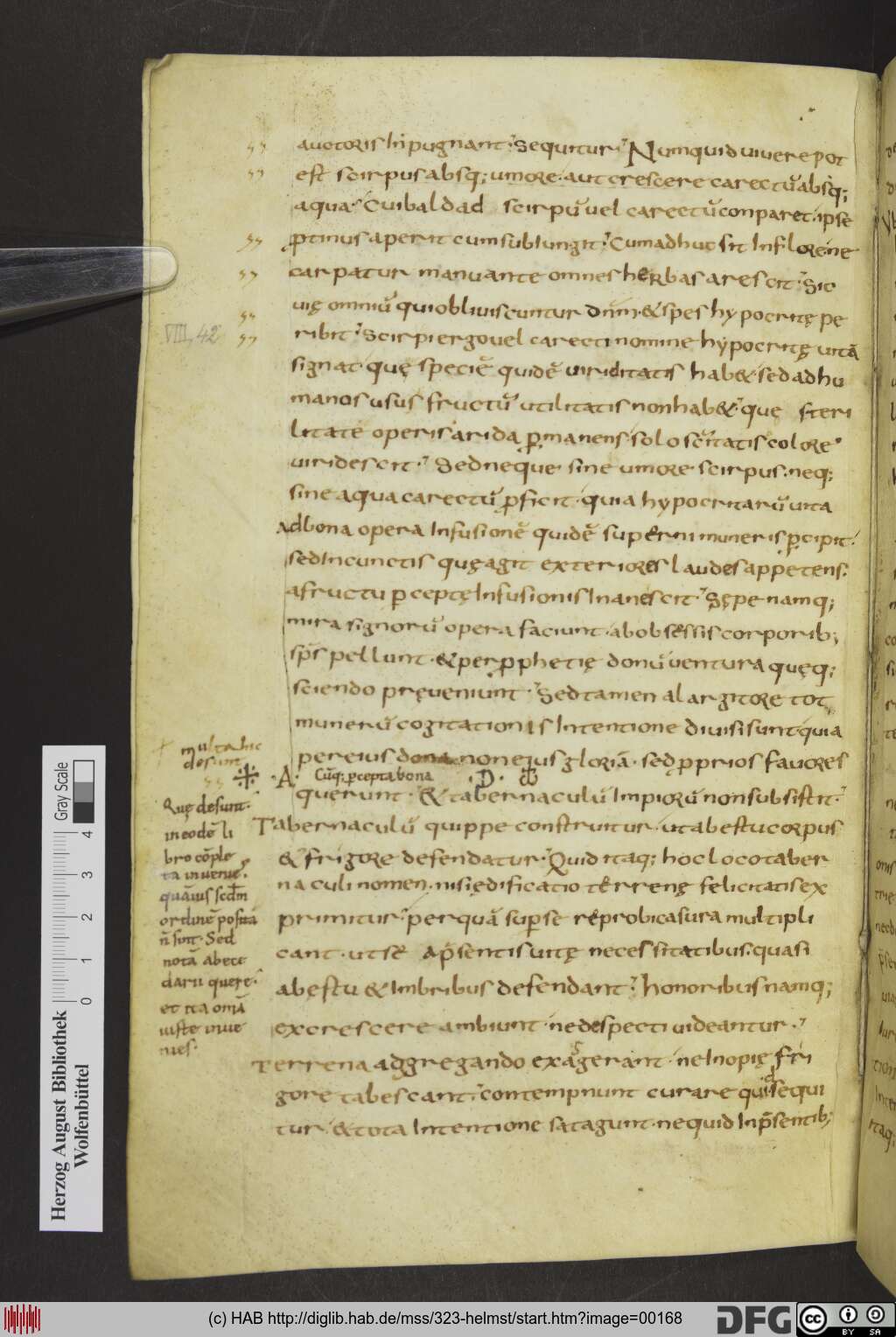 http://diglib.hab.de/mss/323-helmst/00168.jpg