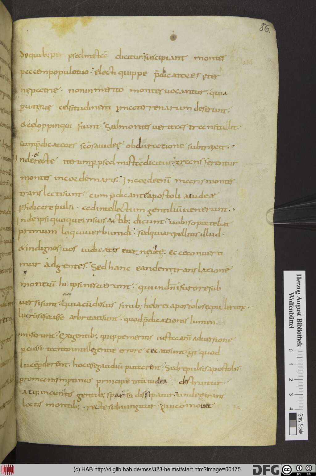 http://diglib.hab.de/mss/323-helmst/00175.jpg