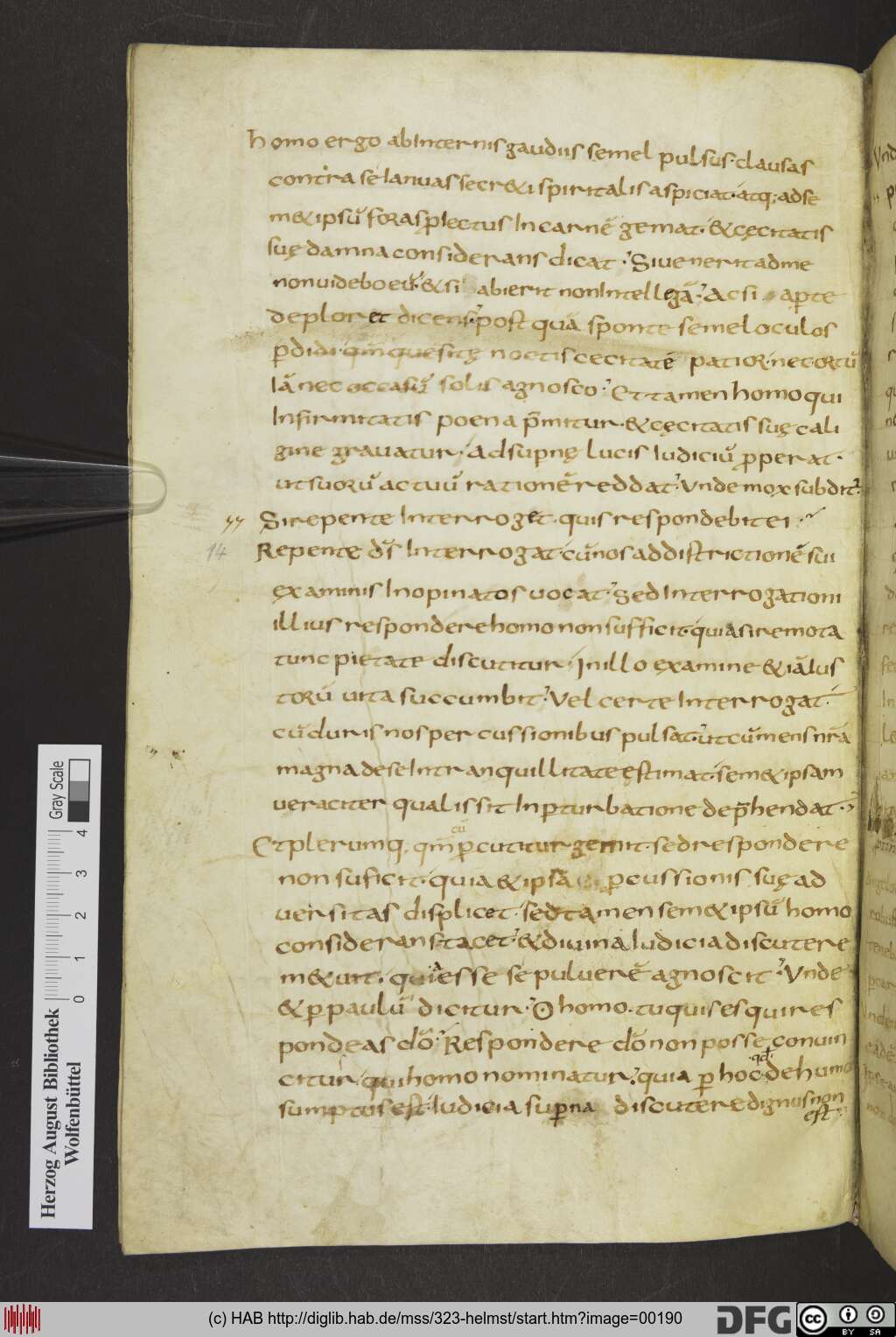 http://diglib.hab.de/mss/323-helmst/00190.jpg
