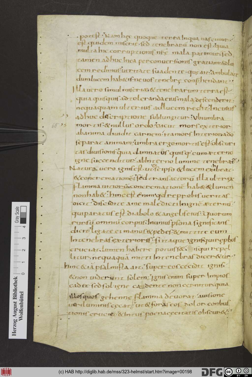 http://diglib.hab.de/mss/323-helmst/00198.jpg