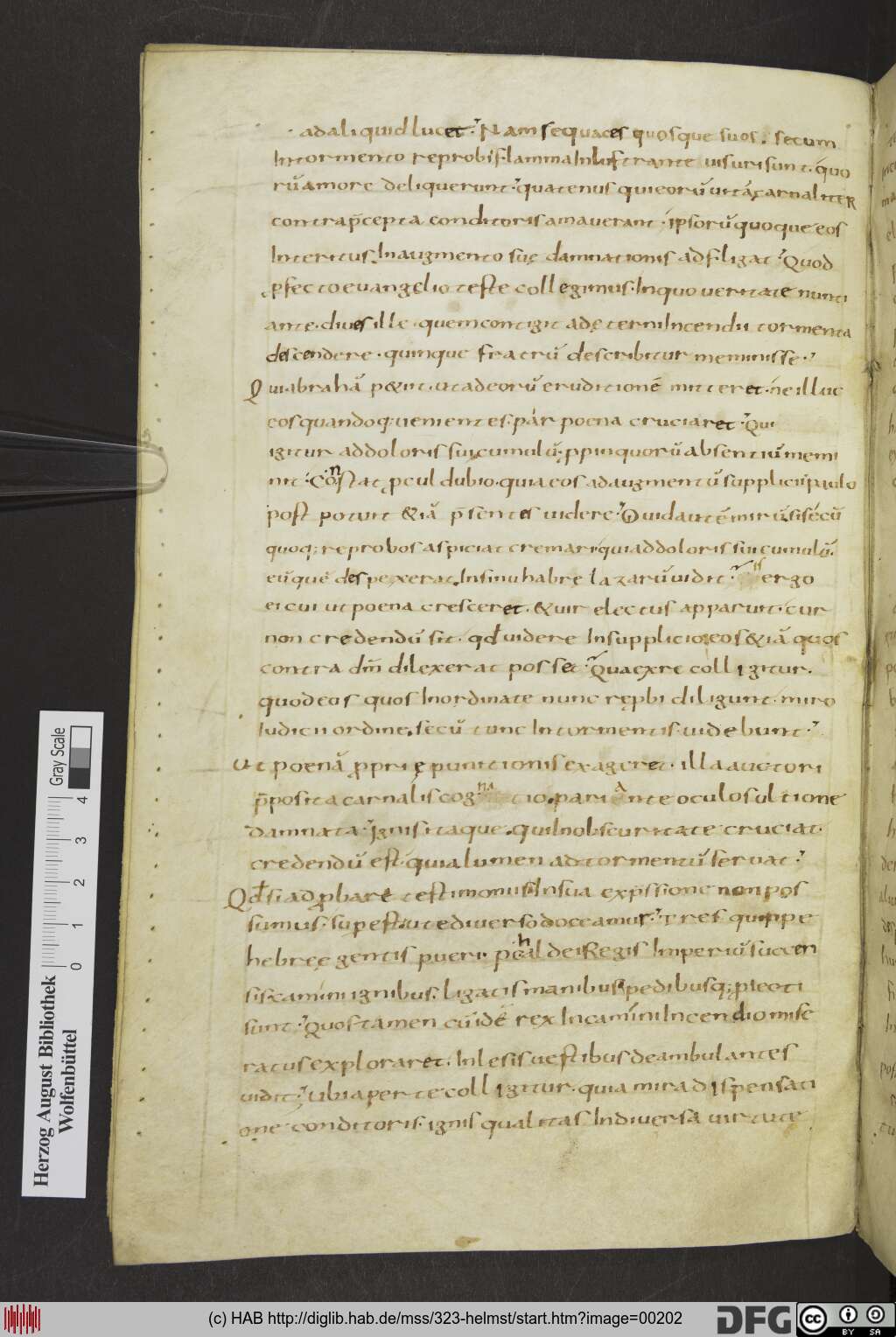 http://diglib.hab.de/mss/323-helmst/00202.jpg
