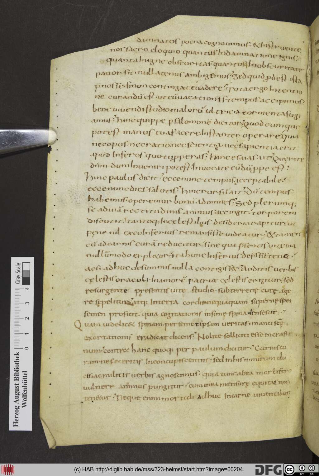 http://diglib.hab.de/mss/323-helmst/00204.jpg