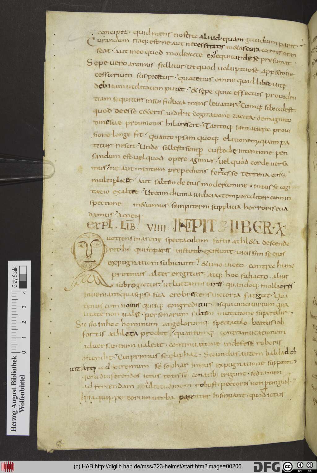 http://diglib.hab.de/mss/323-helmst/00206.jpg