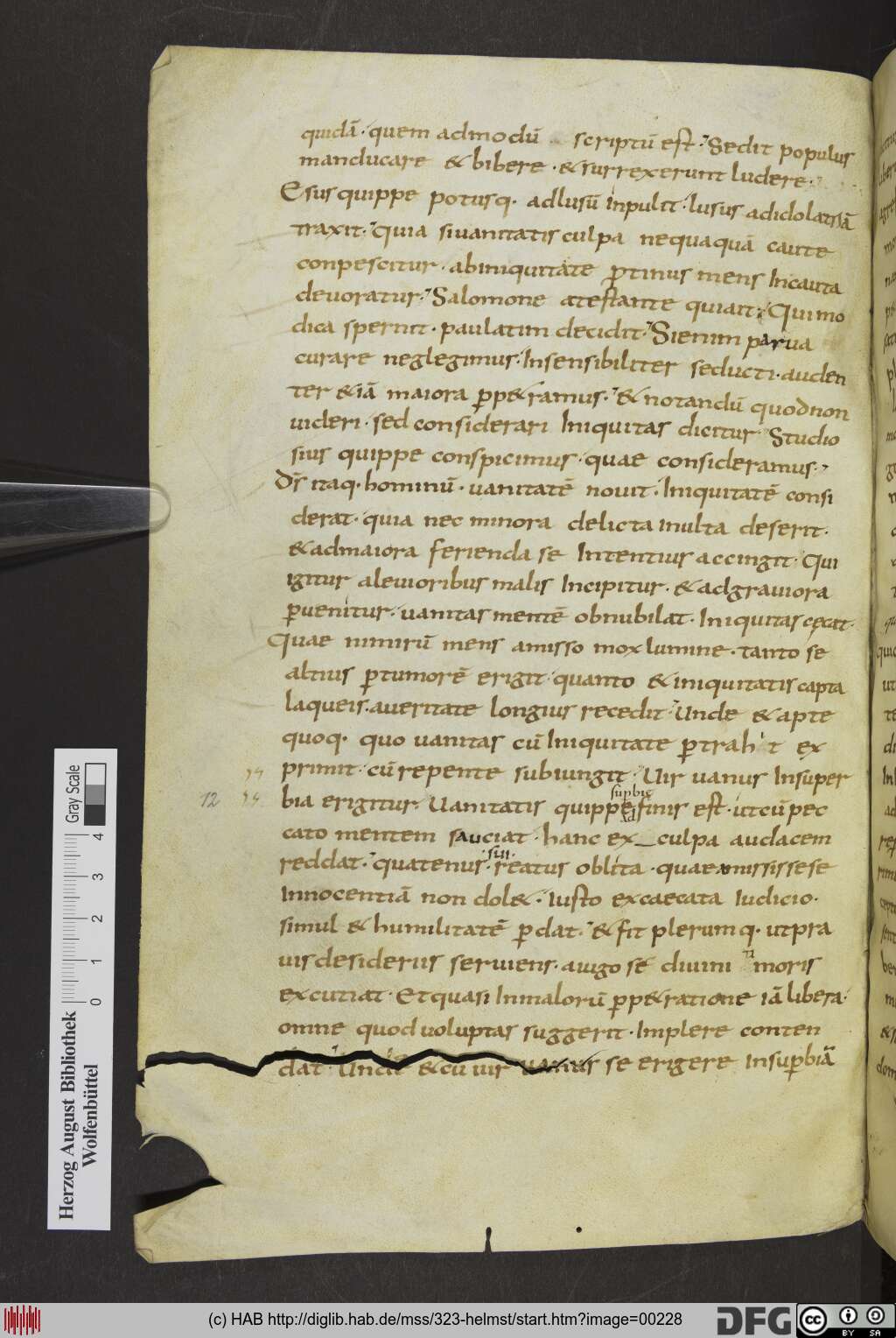 http://diglib.hab.de/mss/323-helmst/00228.jpg