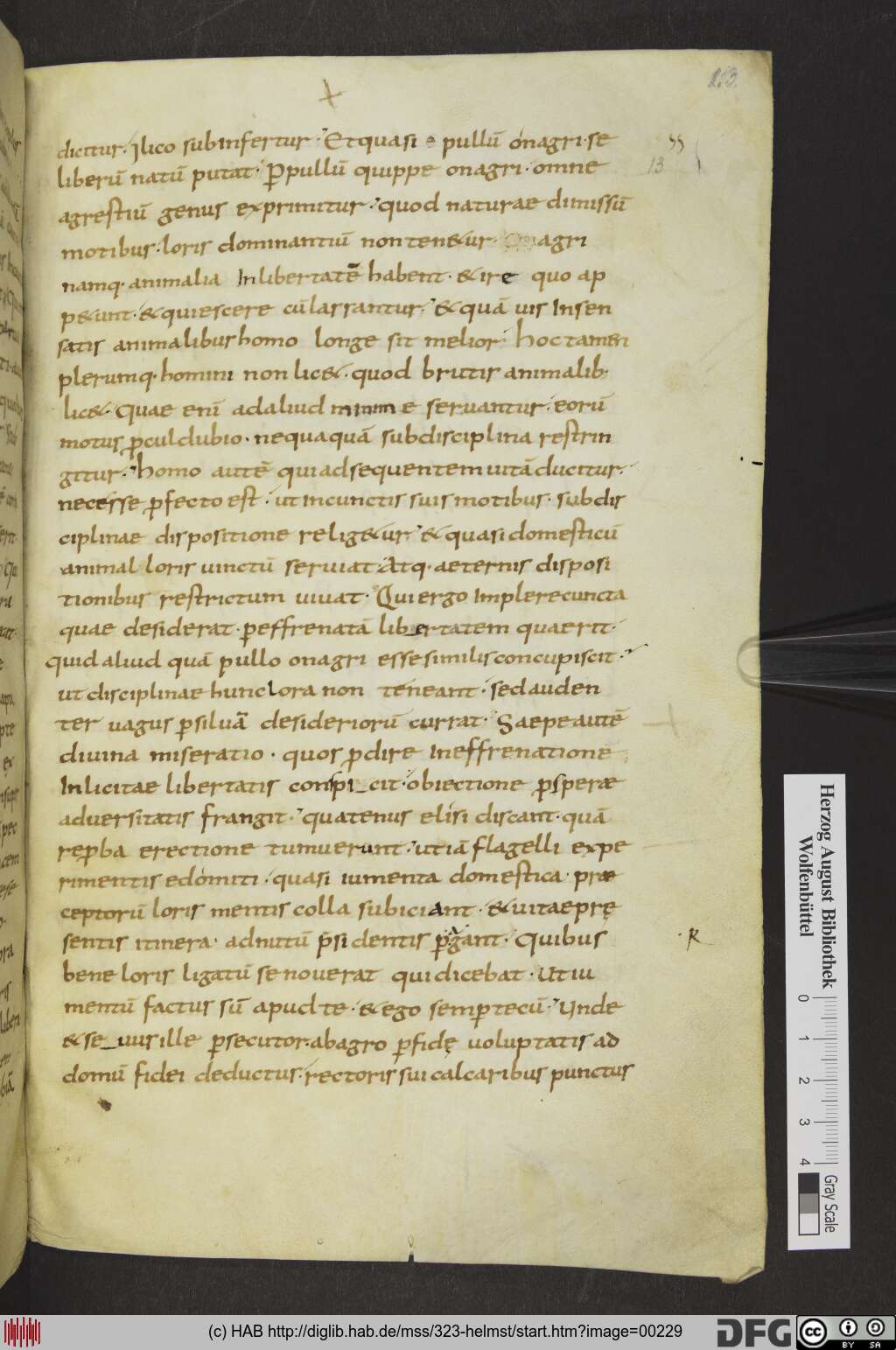 http://diglib.hab.de/mss/323-helmst/00229.jpg