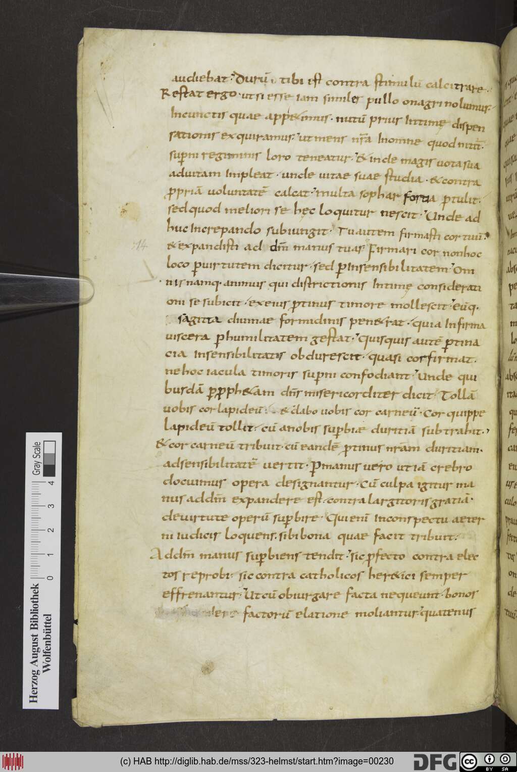 http://diglib.hab.de/mss/323-helmst/00230.jpg