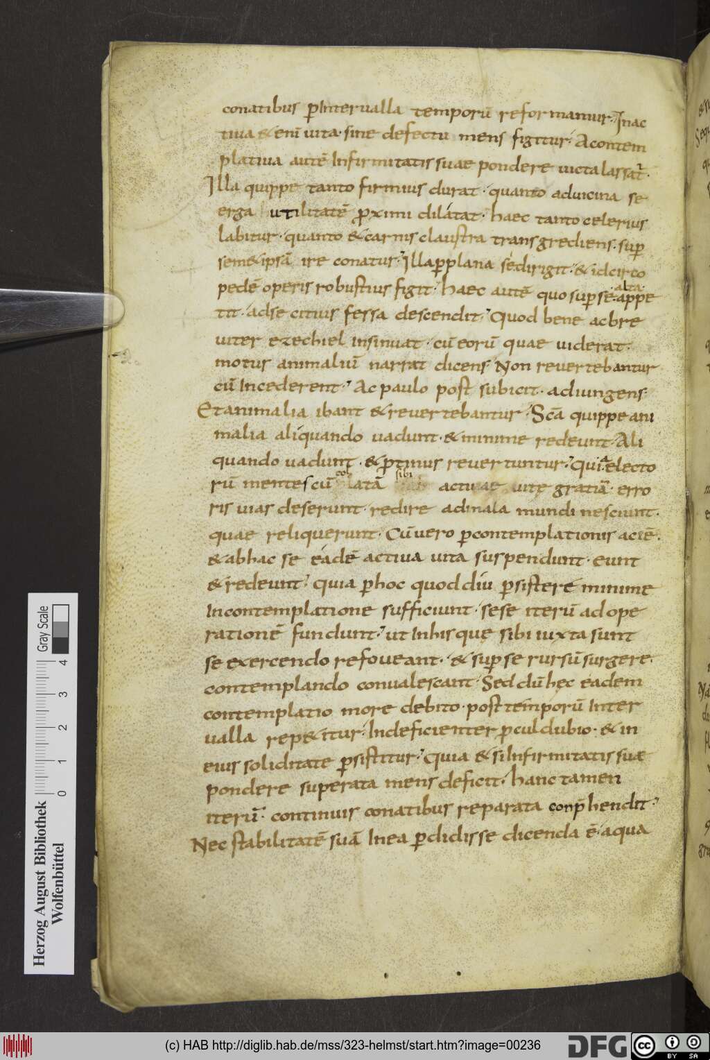 http://diglib.hab.de/mss/323-helmst/00236.jpg