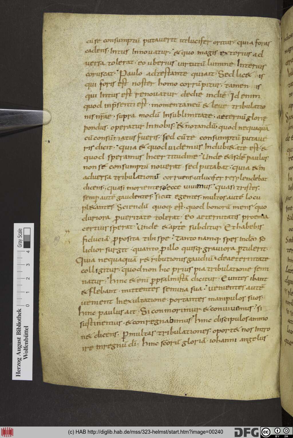 http://diglib.hab.de/mss/323-helmst/00240.jpg