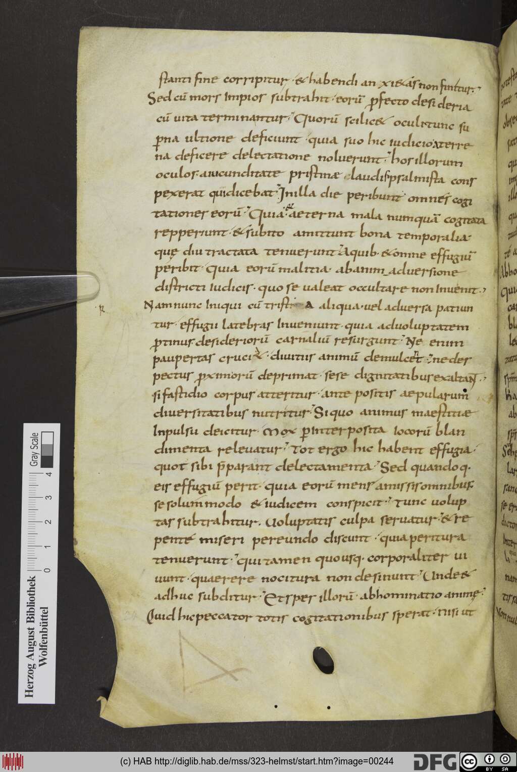 http://diglib.hab.de/mss/323-helmst/00244.jpg