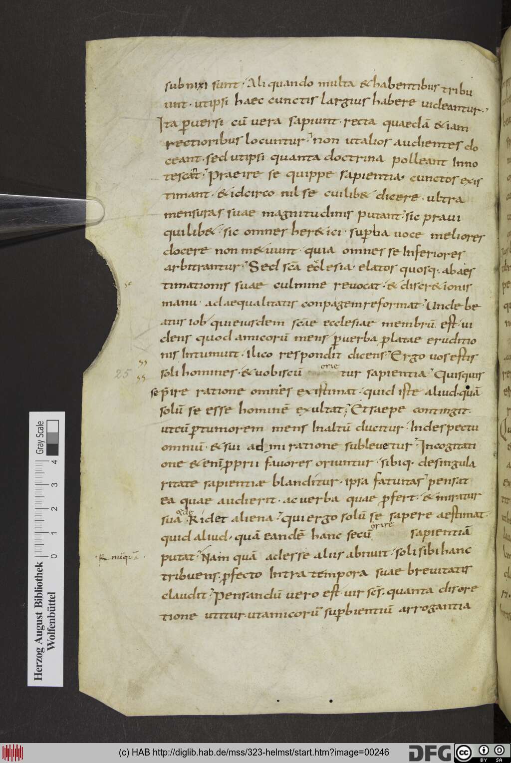 http://diglib.hab.de/mss/323-helmst/00246.jpg
