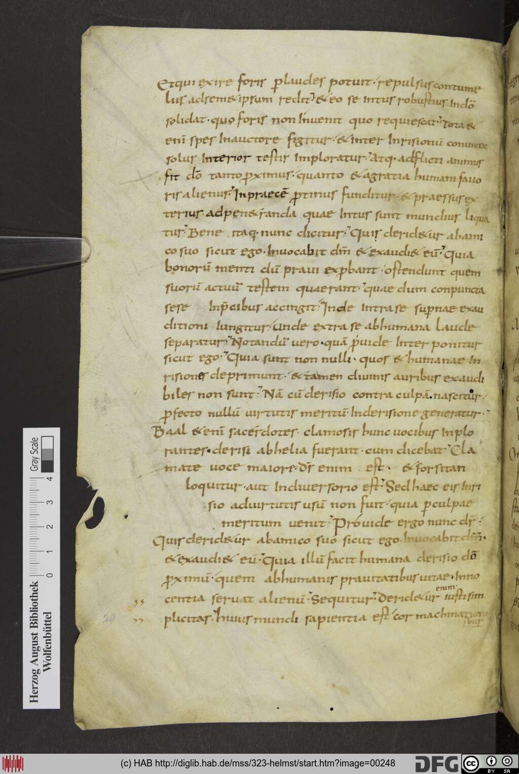 http://diglib.hab.de/mss/323-helmst/00248.jpg