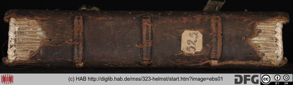 http://diglib.hab.de/mss/323-helmst/ebs01.jpg