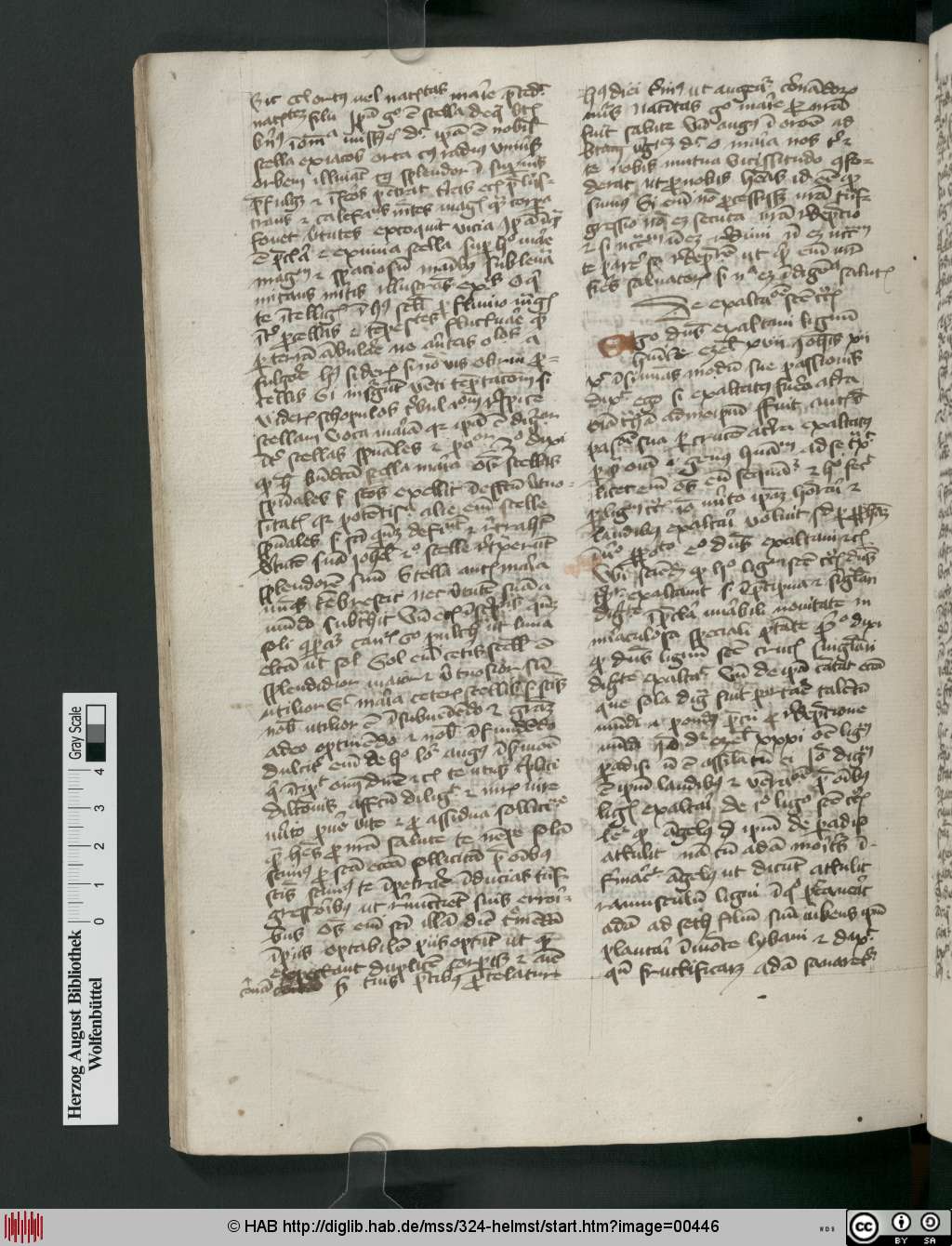 http://diglib.hab.de/mss/324-helmst/00446.jpg