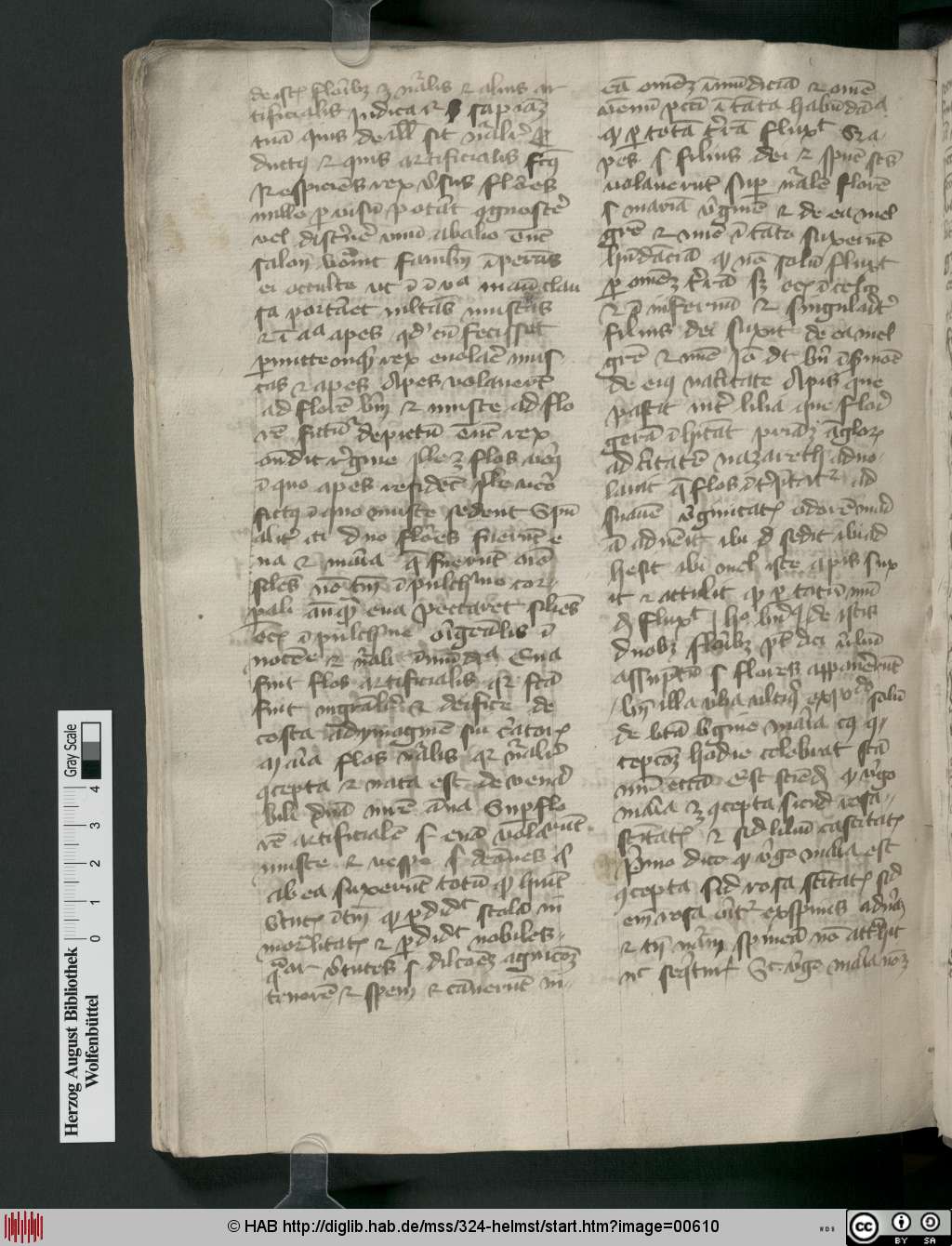 http://diglib.hab.de/mss/324-helmst/00610.jpg
