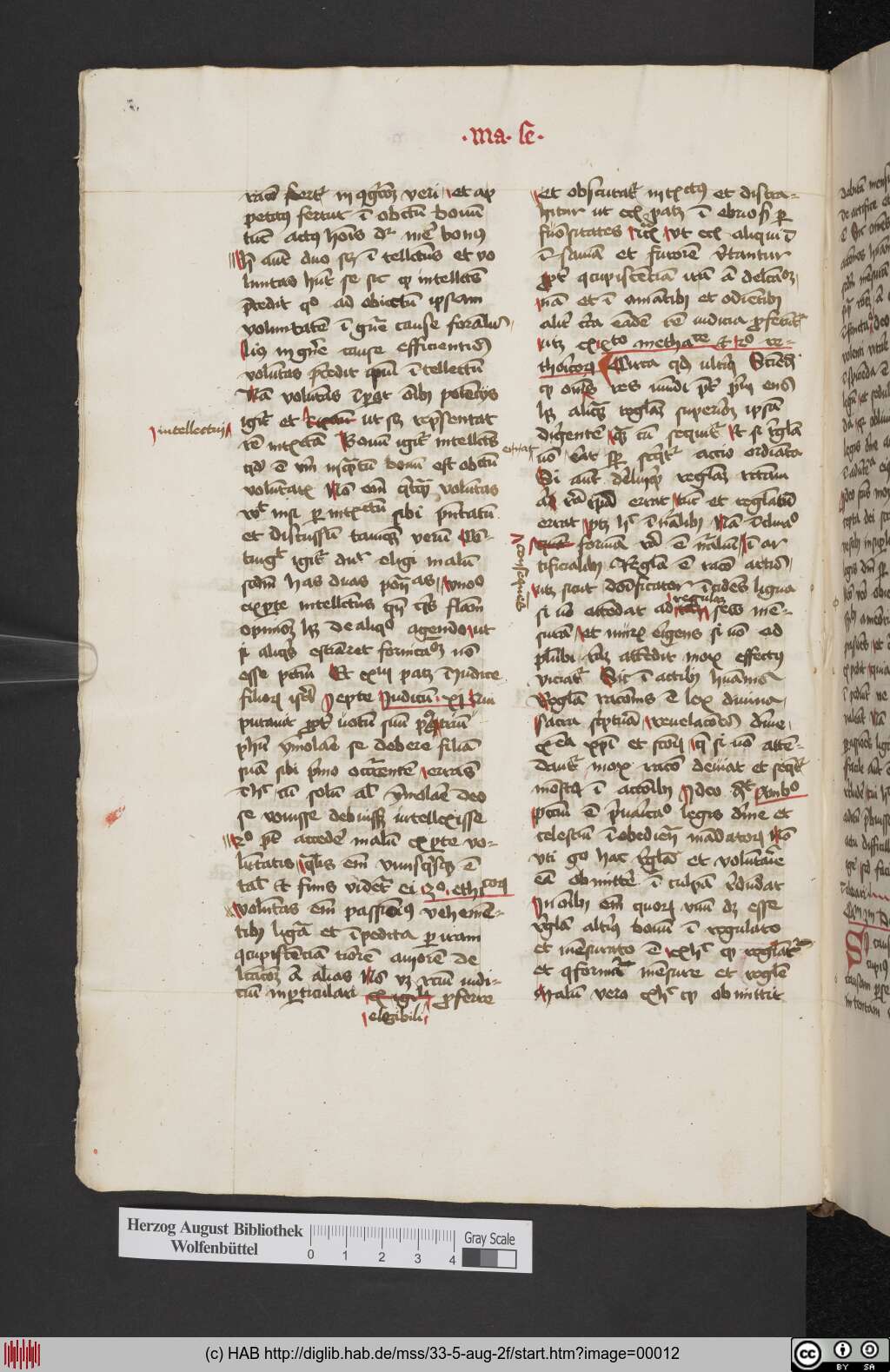 http://diglib.hab.de/mss/33-5-aug-2f/00012.jpg