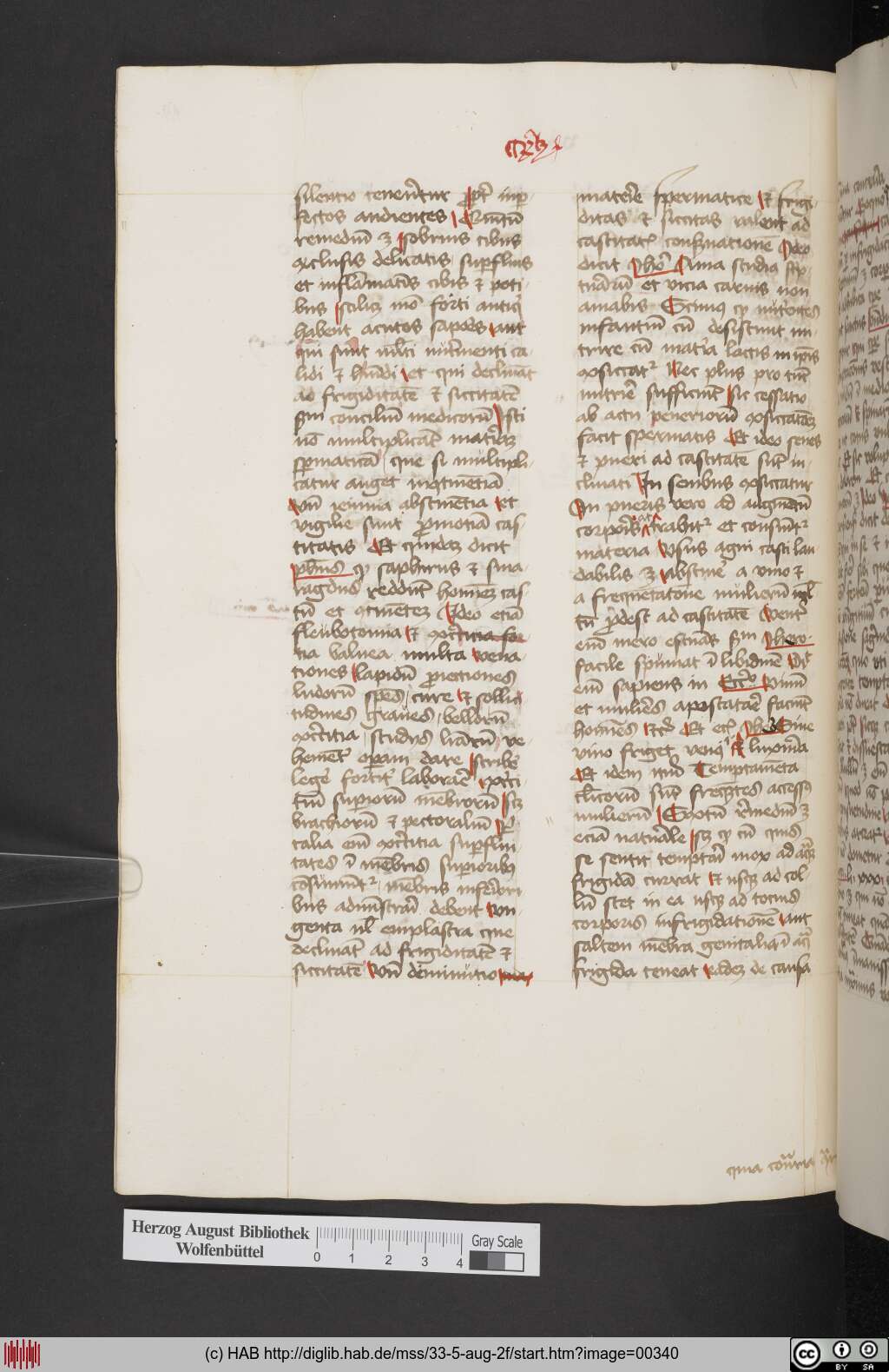 http://diglib.hab.de/mss/33-5-aug-2f/00340.jpg
