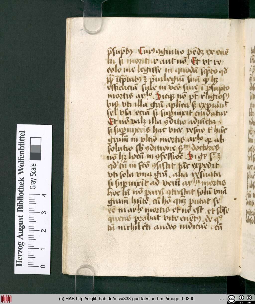 http://diglib.hab.de/mss/338-gud-lat/00300.jpg