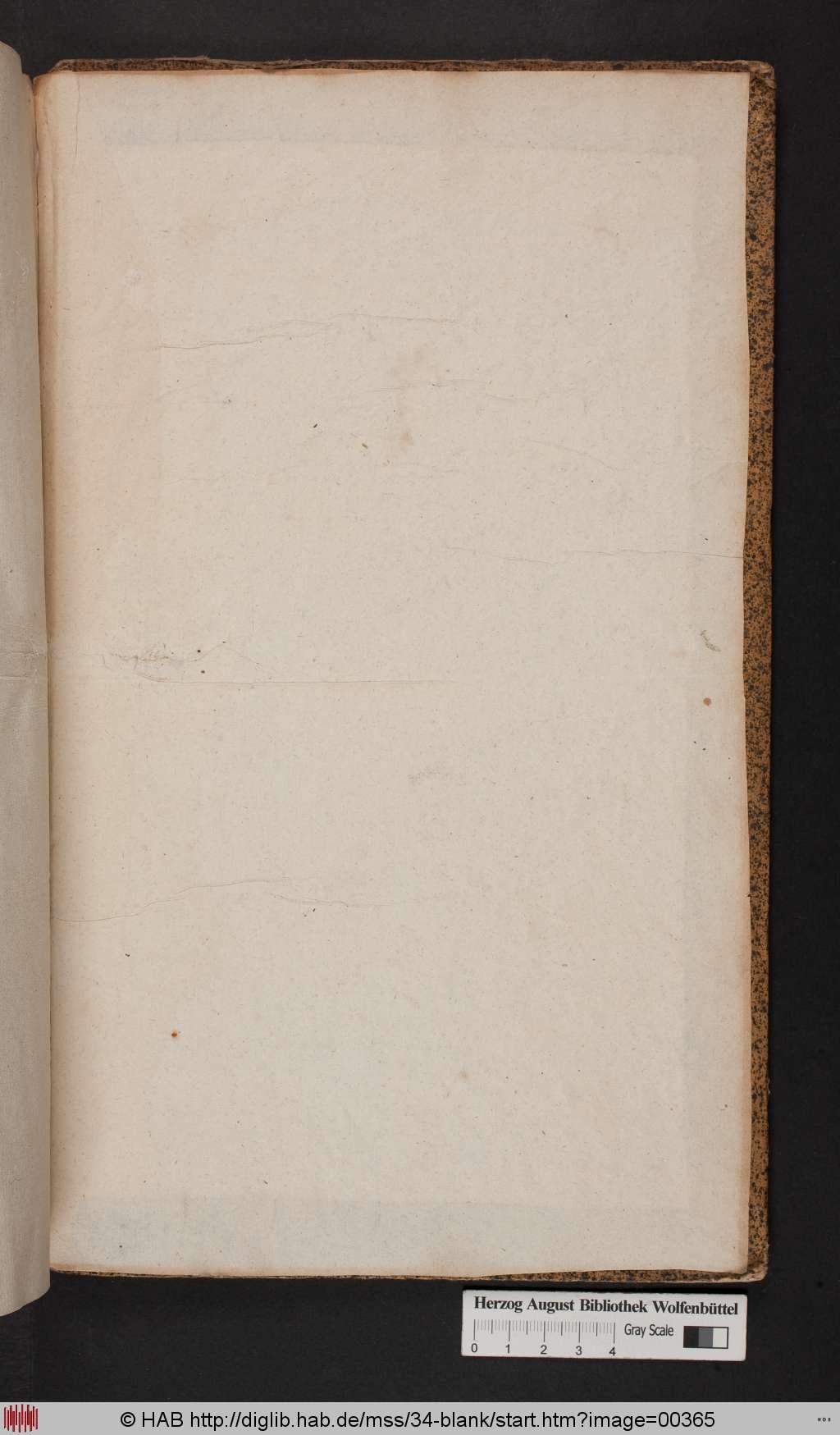 http://diglib.hab.de/mss/34-blank/00365.jpg