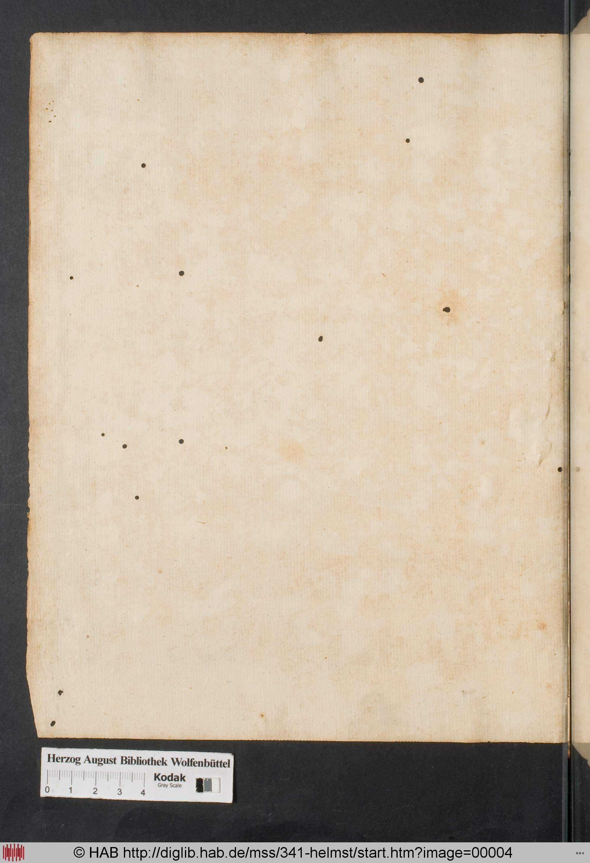 http://diglib.hab.de/mss/341-helmst/max/00004.jpg