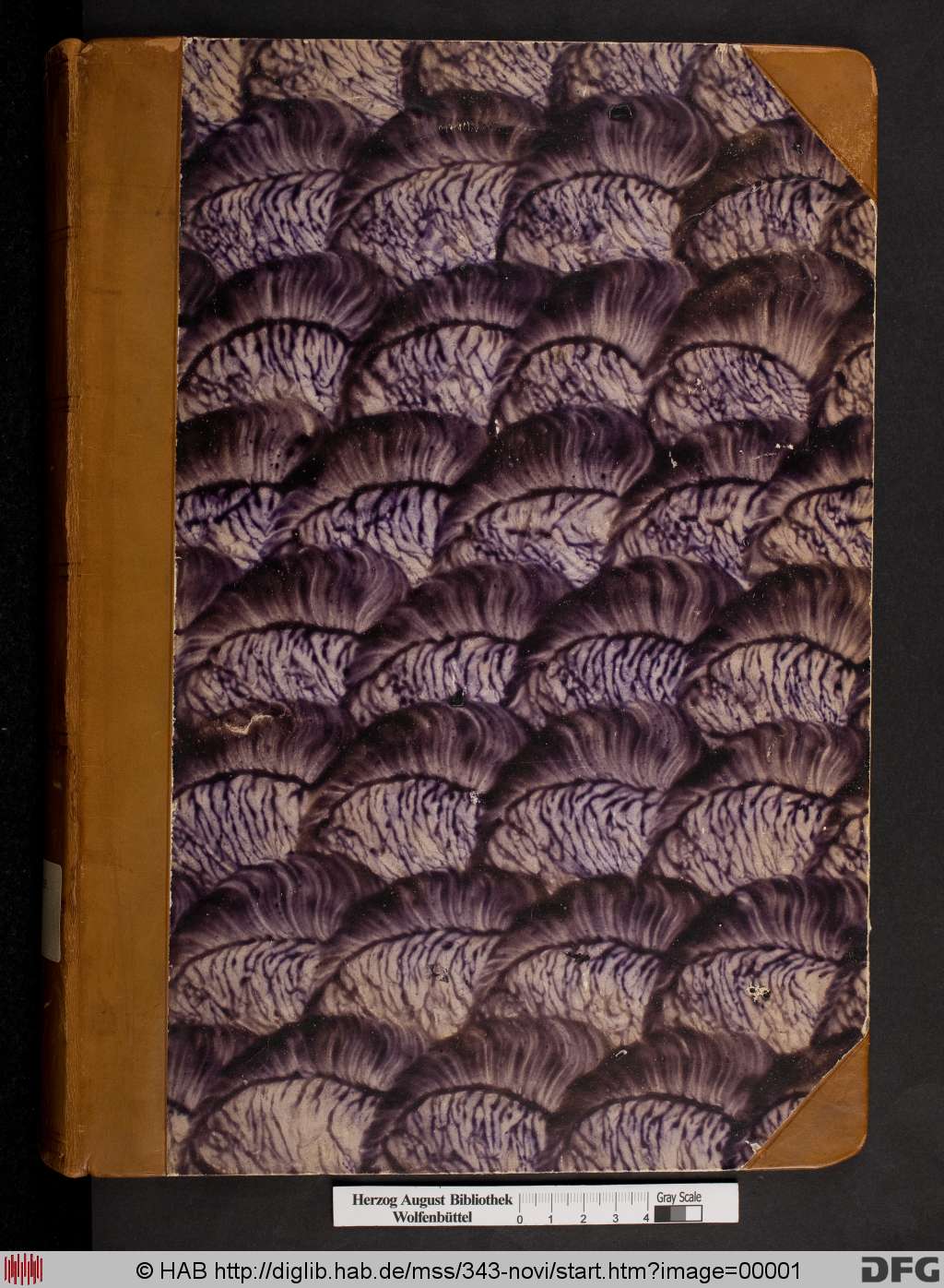http://diglib.hab.de/mss/343-novi/00001.jpg