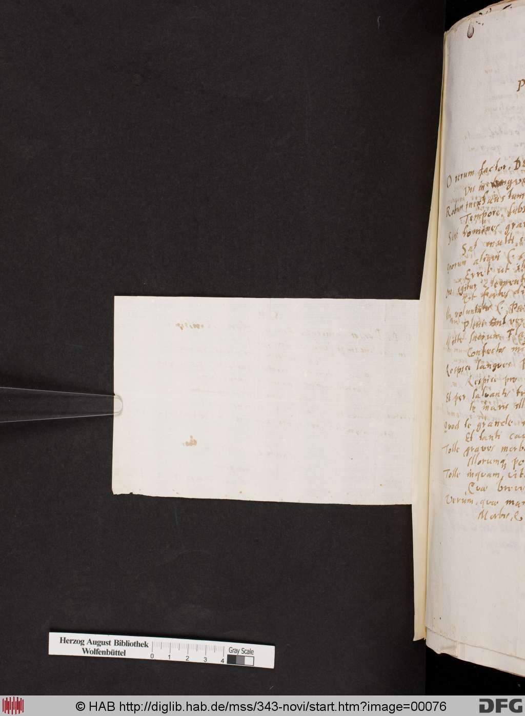 http://diglib.hab.de/mss/343-novi/00076.jpg