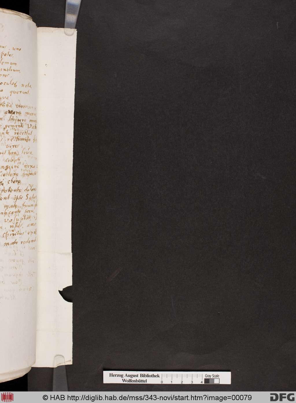 http://diglib.hab.de/mss/343-novi/00079.jpg