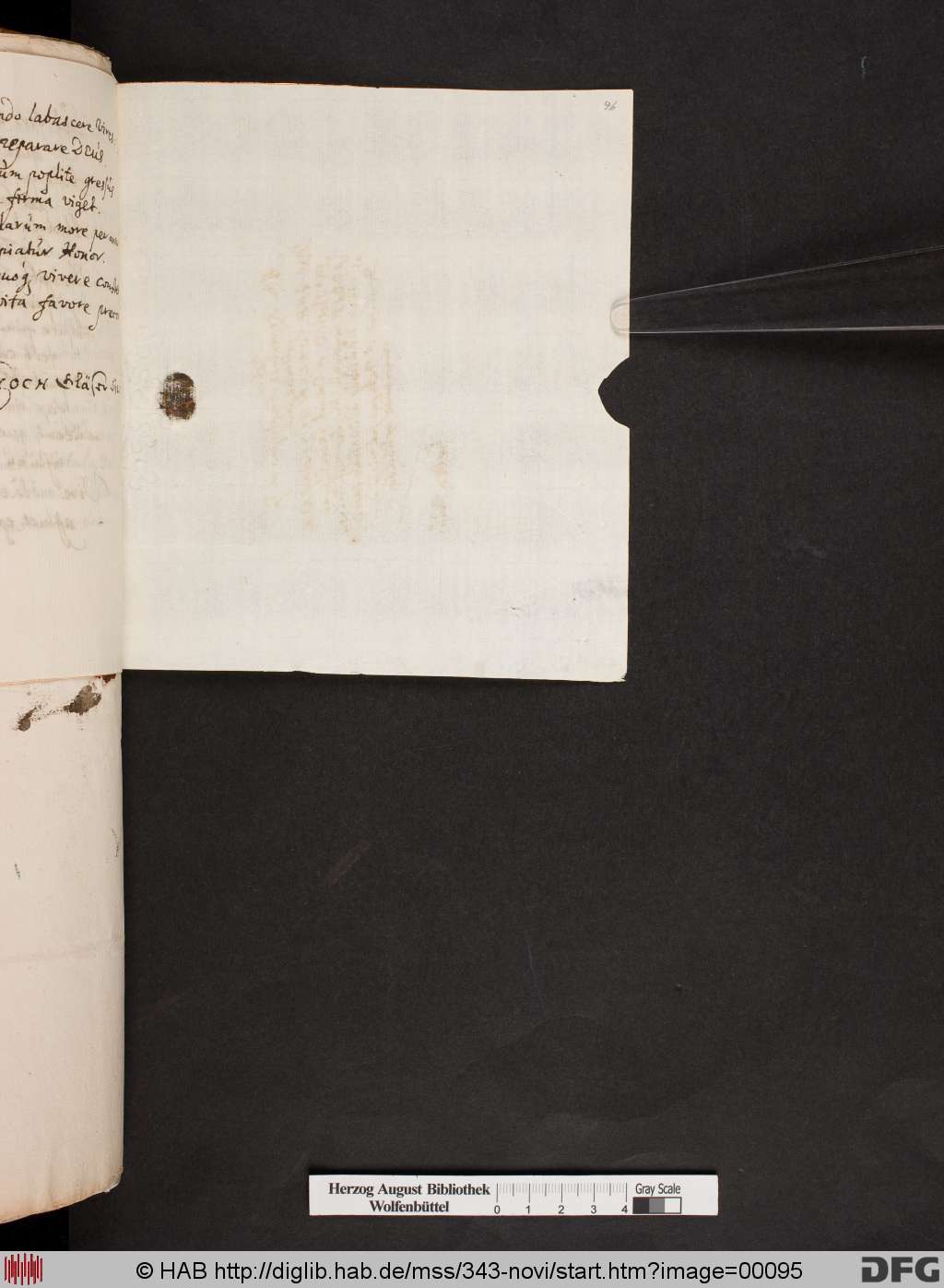 http://diglib.hab.de/mss/343-novi/00095.jpg